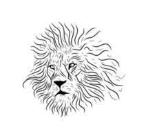 Lion line art illustration. Vector Sketch.