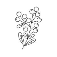 Outline plant decorative branch with leaves and berries for home decor, Christmas, New Year festive holiday arrangement, vector illustration for seasonal greeting card, invitation, banner