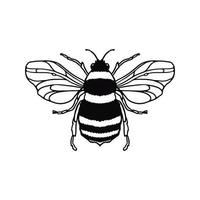 Honey Bee hand-drawn outline doodle isolated on white background. Design Mascot Vector Illustration. Concept logotype for packaging, coloring book