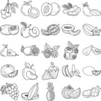 Fruits Hand Drawn Doodle Line Art Outline Set vector