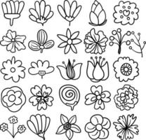 Flowers Hand Drawn Doodle Line Art Outline Set vector