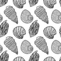 Vector seamless pattern. Line art sketch seashells. Isolated background. Decoration symbol of health calcium. Summer, sand and beach design. Repetitive ornament.