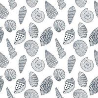 Vector seamless pattern. Line art sketch seashells. Isolated background. Decoration symbol of health calcium. Summer, sand and beach design. Repetitive ornament.