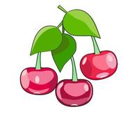Red cherries on twigs with leaves vector