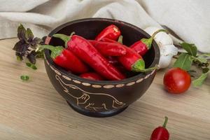 Chili peppers in a bowl on wooden background photo