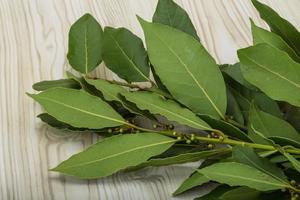 hojas de laurel sobre fondo de madera foto