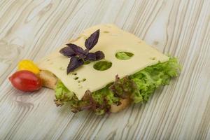 Sandwich with cheese photo