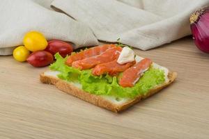 Salmon sandwich on wooden background photo