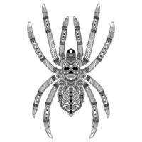 Spider line art vector