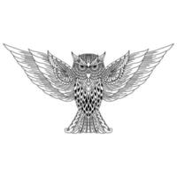 Owl line art vector