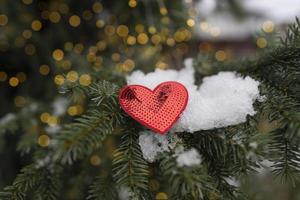 A red heart as a symbol of Valentine's Day lies on the tree with bokeh lights at the background photo