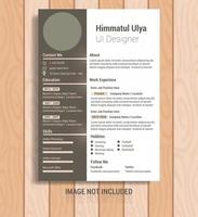 Modern simple template for curriculum vector