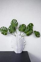 Green leaves of monstera plant decorates the interior of a modern appartment. Textured wall background photo