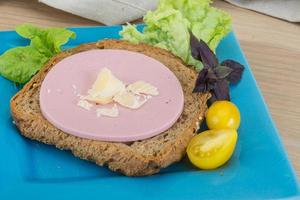 Sausage sandwich on the plate and wooden background photo