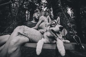 beautiful couple together with dog on a swing photo