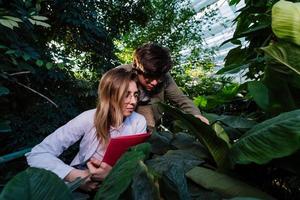 jóvenes ingenieros agrícolas están buscando algo en invernadero foto