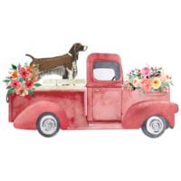 raça de cachorro springer spaniel inglês png, clipart de caminhão vermelho antigo, vintage, buquê floral, spaniel de primavera, flores em aquarela, download de sublimação png