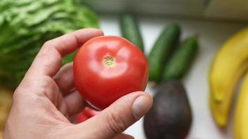 A man's hand holds a tomato, The concept of proper nutrition. photo