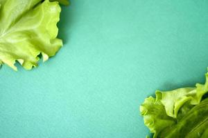 Lettuce leaf on green background with space for text. photo