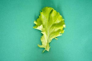 Lettuce leaf on green background with space for text. photo