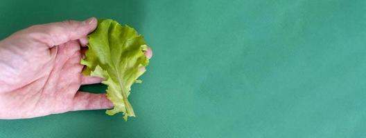 una hoja de lechuga en la mano de un hombre sobre un fondo verde. foto