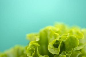 Lettuce leaf on green background with space for text. photo