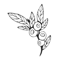 Minimal decoration floral ATL png