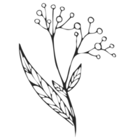 minimale Dekoration floral atl png