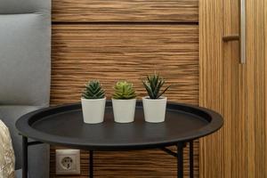 Succulent flowers standing in a modern bedroom decorating the interior photo