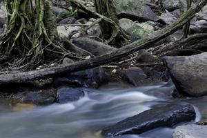 cascada del bosque o arroyo del bosque. agua que cae de la pendiente de piedra. foto