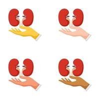 conjunto de gestos de manos con riñón vector