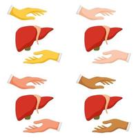 Set of hands gestures with liver vector