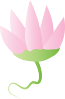 Flower lotus tulip garden icon element for decorative background png