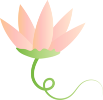 fleur lotus tulipe jardin icône élément pour fond décoratif png