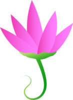 Flower lotus tulip garden icon element for decorative background png