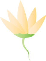 elemento de icono de flor de loto tulipán jardín para fondo decorativo png