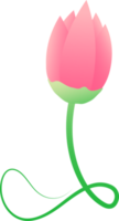 elemento de icono de flor de loto tulipán jardín para fondo decorativo png