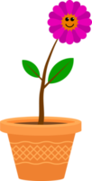 Cute Smiling Flower, Plant in a Pot png