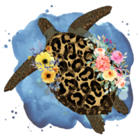 zee schildpad, waterverf schildpad PNG met zonnebloemen