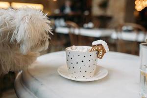 The mug with the christmas decorations and cookie on edge photo