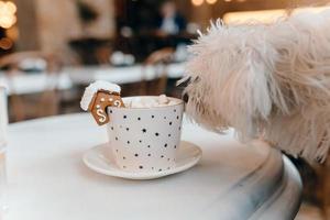 The mug with the christmas decorations and cookie on edge photo