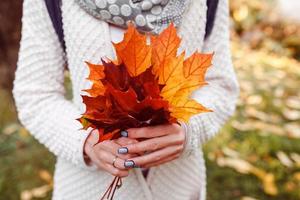 Autumn leaves in girl hands photo