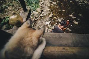 hermosa pareja en el fondo del bosque foto