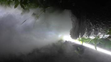 A large pipe fills the greenhouse with fog. photo