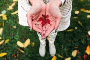 hojas de otoño en manos de niña foto