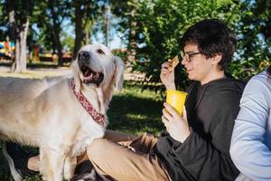 el hombre alimenta a su perro con bocadillos por obediencia en el parque foto