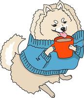 Pomeranian Dog in Blue Sweater Drinking Drink from Mug
