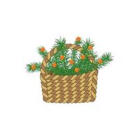 Christmas tree branches in basket vector illustration. Fir tree branches with orange berries isolated on white background. Holiday cliart.