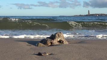 Beautiful view on sandy beaches at the baltic sea on a sunny day video