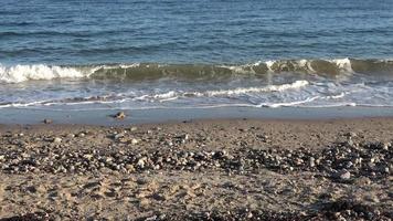 Beautiful view on sandy beaches at the baltic sea on a sunny day video